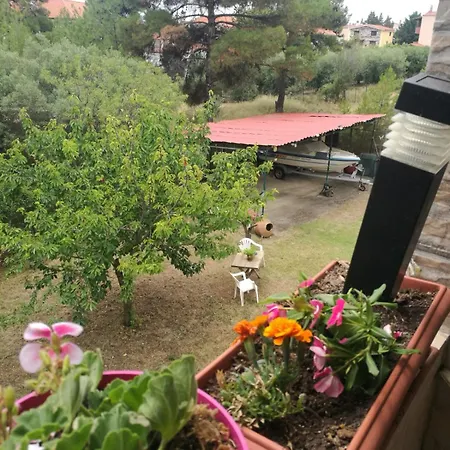 Little Hause Guest house *